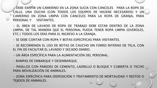 • DEBE EXISTIR UN CAMERINO EN LA ZONA SUCIA CON CANCELES PARA LA ROPA DE
CALLE, UNA DUCHA (CON TODOS LOS EQUIPOS DE HIGIENE NECESARIOS) Y UN
CAMERINO EN ZONA LIMPIA CON CANCELES PARA LA ROPA DE GRANJA, PARA
PERSONAL Y VISITANTES.
• EL ÁREA DE LAVADO DE ROPA DE TRABAJO DEBE ESTAR DENTRO DE LA ZONA
LIMPIA, DE TAL MANERA QUE EL PERSONAL PUEDA TENER ROPA LIMPIA (OVEROLES,
ETC.) TODOS LOS DÍAS PARA EL INGRESO A LA GRANJA.
• SE DEBE CONTAR CON ROPA Y BOTAS ESPECÍFICAS PARA VISITANTES.
• SE RECOMIENDA EL USO DE BOTAS DE CAUCHO SIN FORRO INTERNO DE TELA, CON
EL FIN DE FACILITAR EL LAVADO Y SECADO DIARIO.
• UN ÁREA ESPECÍFICA PARA LA ALIMENTACIÓN DEL PERSONAL.
• RAMPAS DE EMBARQUE Y DESEMBARQUE.
• PASILLOS CON PAREDES DE CEMENTO, LADRILLO O BLOQUE Y CUBIERTA O TECHO
PARA MOVILIZACIÓN DE ANIMALES.
• ZONA ESPECÍFICA PARA DISPOSICIÓN Y TRATAMIENTO DE MORTALIDAD Y RESTOS O
TEJIDOS DE ANIMALES.
 
