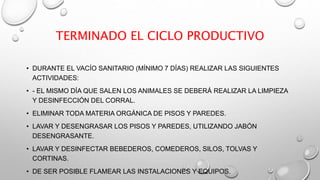 TERMINADO EL CICLO PRODUCTIVO
• DURANTE EL VACÍO SANITARIO (MÍNIMO 7 DÍAS) REALIZAR LAS SIGUIENTES
ACTIVIDADES:
• - EL MISMO DÍA QUE SALEN LOS ANIMALES SE DEBERÁ REALIZAR LA LIMPIEZA
Y DESINFECCIÓN DEL CORRAL.
• ELIMINAR TODA MATERIA ORGÁNICA DE PISOS Y PAREDES.
• LAVAR Y DESENGRASAR LOS PISOS Y PAREDES, UTILIZANDO JABÓN
DESENGRASANTE.
• LAVAR Y DESINFECTAR BEBEDEROS, COMEDEROS, SILOS, TOLVAS Y
CORTINAS.
• DE SER POSIBLE FLAMEAR LAS INSTALACIONES Y EQUIPOS.
 