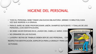 HIGIENE DEL PERSONAL
• TODO EL PERSONAL DEBE TOMAR UNA DUCHA OBLIGATORIA (MÍNIMO 10 MINUTOS) CADA
VEZ QUE INGRESE A LA GRANJA.
• PARA EL BAÑO SE DEBE PROPORCIONAR JABÓN, SHAMPOO SUFICIENTE Y TOALLAS DE USO
PERSONAL (CON IDENTIFICACIÓN).
• SE DEBE HACER ÉNFASIS EN EL LAVADO DEL CABELLO, NARIZ, CODOS Y UÑAS
• NO ORINARSE EN LAS DUCHAS.
• LA ROPA Y BOTAS DE TRABAJO DEBEN SER DE USO PERSONAL, CON SU
RESPECTIVA DENTIFICACIÓN, ESPECÍFICA PARA LA GRANJA Y PARA CADA
ACTIVIDAD.
 
