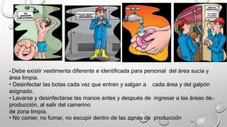 • Debe existir vestimenta diferente e identificada para personal del área sucia y
área limpia.
• Desinfectar las botas cada vez que entren y salgan a cada área y del galpón
asignado.
• Lavarse y desinfectarse las manos antes y después de ingresar a las áreas de
producción, al salir del camerino
de zona limpia.
• No comer, no fumar, no escupir dentro de las zonas de producción
 