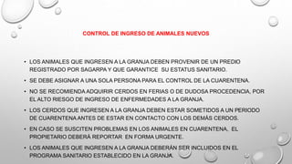 CONTROL DE INGRESO DE ANIMALES NUEVOS
• LOS ANIMALES QUE INGRESEN A LA GRANJA DEBEN PROVENIR DE UN PREDIO
REGISTRADO POR SAGARPA Y QUE GARANTICE SU ESTATUS SANITARIO.
• SE DEBE ASIGNAR A UNA SOLA PERSONA PARA EL CONTROL DE LA CUARENTENA.
• NO SE RECOMIENDA ADQUIRIR CERDOS EN FERIAS O DE DUDOSA PROCEDENCIA, POR
EL ALTO RIESGO DE INGRESO DE ENFERMEDADES A LA GRANJA.
• LOS CERDOS QUE INGRESEN A LA GRANJA DEBEN ESTAR SOMETIDOS A UN PERIODO
DE CUARENTENA ANTES DE ESTAR EN CONTACTO CON LOS DEMÁS CERDOS.
• EN CASO SE SUSCITEN PROBLEMAS EN LOS ANIMALES EN CUARENTENA, EL
PROPIETARIO DEBERÁ REPORTAR EN FORMA URGENTE.
• LOS ANIMALES QUE INGRESEN A LA GRANJA DEBERÁN SER INCLUIDOS EN EL
PROGRAMA SANITARIO ESTABLECIDO EN LA GRANJA.
 