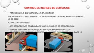 CONTROL DE INGRESO DE VEHÍCULOS
• TODO VEHÍCULO QUE INGRESE A LA GRANJA DEBE:
SER IDENTIFICADO Y REGISTRADO. SI VIENE DE OTRAS GRANJAS, FERIAS O CAMALES
NO SE DEBE
AUTORIZAR SU INGRESO.
• SER DESINFECTADO CON BOMBA DE MOCHILA O ARCO DE DESINFECCIÓN.
• SE DEBE SEÑALIZAR EL LUGAR (ZONA SUCIA) DONDE LOS VEHÍCULOS
OBLIGATORIAMENTE DEBEN PARQUEAR Y LAS ÁREAS DE INGRESO Y SALIDA DE LA
GRANJA.
 