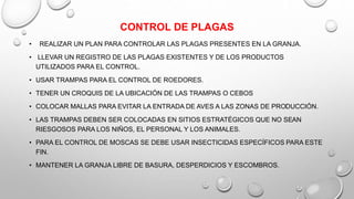 CONTROL DE PLAGAS
• REALIZAR UN PLAN PARA CONTROLAR LAS PLAGAS PRESENTES EN LA GRANJA.
• LLEVAR UN REGISTRO DE LAS PLAGAS EXISTENTES Y DE LOS PRODUCTOS
UTILIZADOS PARA EL CONTROL.
• USAR TRAMPAS PARA EL CONTROL DE ROEDORES.
• TENER UN CROQUIS DE LA UBICACIÓN DE LAS TRAMPAS O CEBOS
• COLOCAR MALLAS PARA EVITAR LA ENTRADA DE AVES A LAS ZONAS DE PRODUCCIÓN.
• LAS TRAMPAS DEBEN SER COLOCADAS EN SITIOS ESTRATÉGICOS QUE NO SEAN
RIESGOSOS PARA LOS NIÑOS, EL PERSONAL Y LOS ANIMALES.
• PARA EL CONTROL DE MOSCAS SE DEBE USAR INSECTICIDAS ESPECÍFICOS PARA ESTE
FIN.
• MANTENER LA GRANJA LIBRE DE BASURA, DESPERDICIOS Y ESCOMBROS.
 