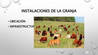 INSTALACIONES DE LA GRANJA
• UBICACIÓN
• INFRAESTRUCTURA
 