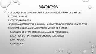 UBICACIÓN
• LA GRANJA DEBE ESTAR UBICADA A UNA DISTANCIA MÍNIMA DE 3 KM DE:
1. ZONAS URBANAS.
2. CENTROS POBLADOS.
LAS GRANJAS DEBEN ESTAR A MÍNIMO 1 KILÓMETRO DE DISTANCIA UNA DE OTRA.
DEBE ESTAR UBICADA A UNA DISTANCIA MÍNIMA DE 5 KM DE:
1. GRANJAS DE OTRAS ESPECIES ANIMALES DE PRODUCCIÓN.
2. CENTROS DE TRATAMIENTO COMÚN DE ESTIÉRCOLES
3. MATADEROS
4. BASUREROS
 