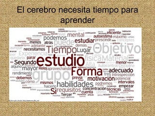 El cerebro necesita tiempo para
           aprender
 