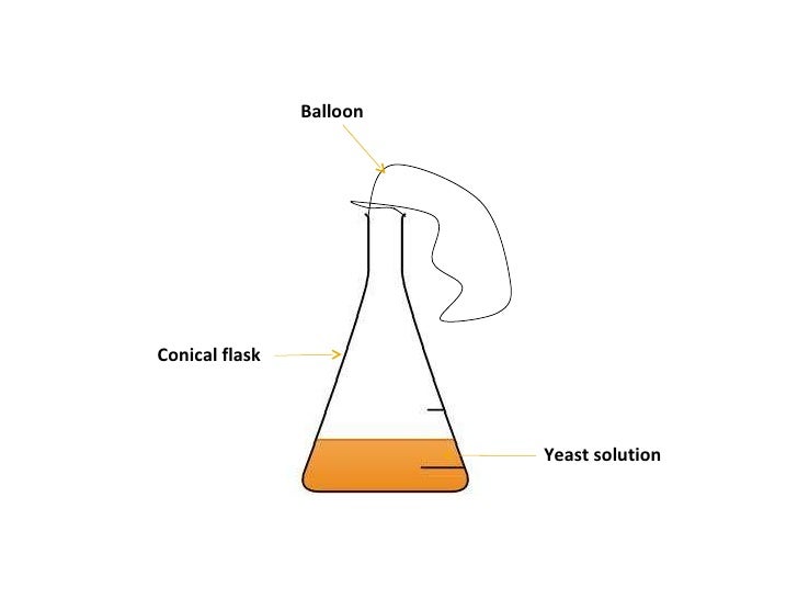 Misconception of respiration