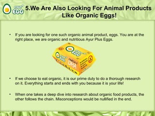 5.We Are Also Looking For Animal Products
Like Organic Eggs!
• If you are looking for one such organic animal product, eggs. You are at the
right place, we are organic and nutritious Ayur Plus Eggs.
• If we choose to eat organic, it is our prime duty to do a thorough research
on it. Everything starts and ends with you because it is your life!
• When one takes a deep dive into research about organic food products, the
other follows the chain. Misconceptions would be nullified in the end.
 