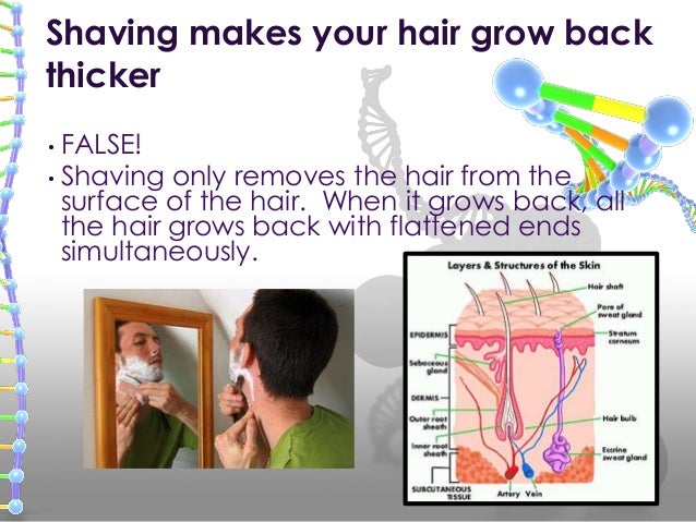 Foods That Make Your Hair Grow Back Foods That Make Your Hair Grow Back