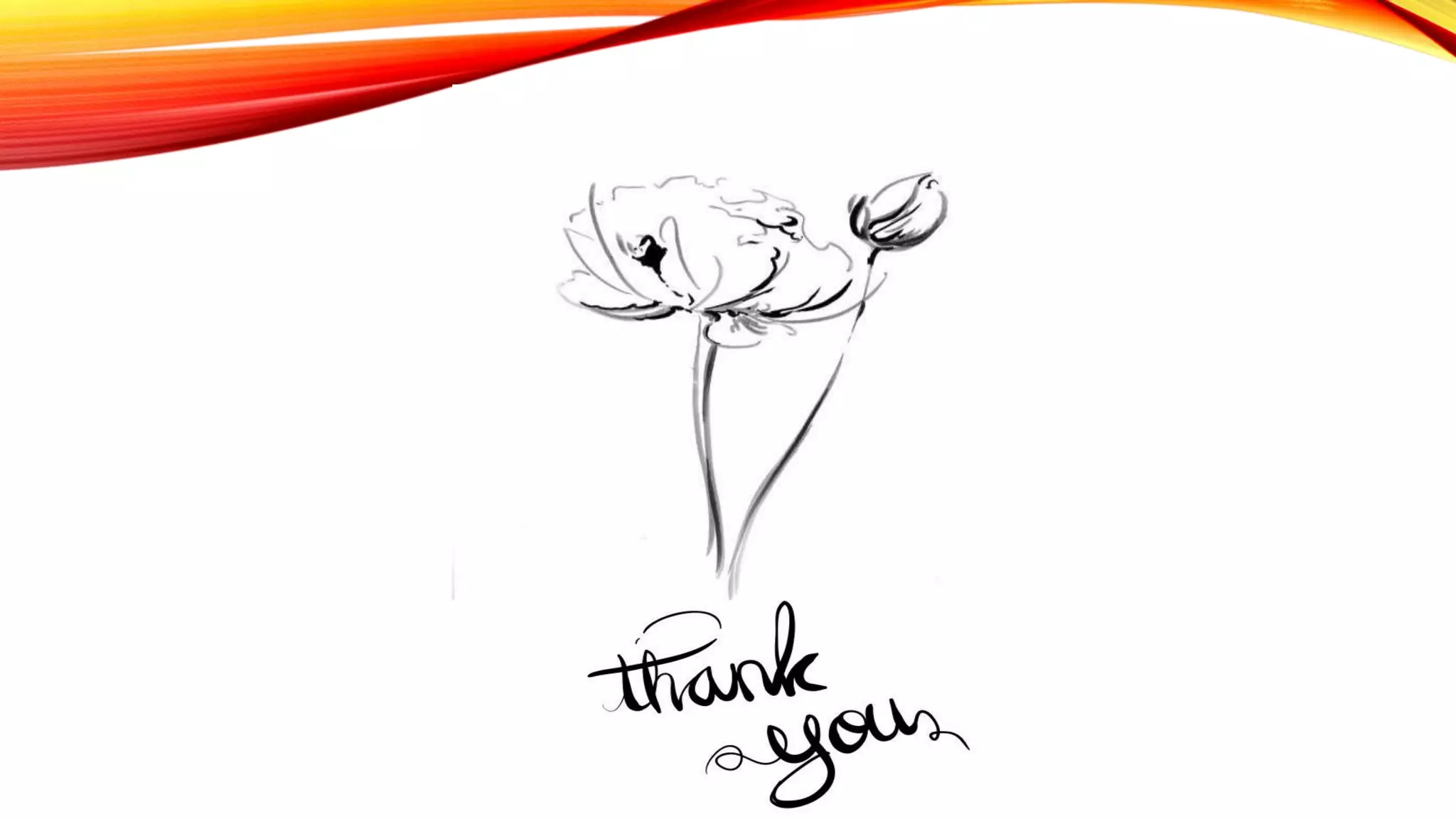 Misconceptions in Physical Education