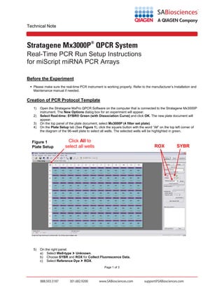 Technical Note

Stratagene Mx3000P® QPCR System
Real-Time PCR Run Setup Instructions
for miScript miRNA PCR Arrays
Before the Experiment
 Please make sure the real-time PCR instrument is working properly. Refer to the manufacturer’s Installation and
Maintenance manual if needed.

Creation of PCR Protocol Template
1)
2)
3)
4)

Open the Stratagene MxPro QPCR Software on the computer that is connected to the Stratagene Mx3000P
instrument. The New Options dialog box for an experiment will appear.
Select Real-time: SYBR® Green (with Dissociation Curve) and click OK. The new plate document will
appear.
On the top panel of the plate document, select Mx3000P (4 filter set plate).
On the Plate Setup tab (See Figure 1), click the square button with the word “All” on the top left corner of
the diagram of the 96-well plate to select all wells. The selected wells will be highlighted in green.

Figure 1
Plate Setup

5)

Click All to
select all wells

ROX

On the right panel:
a) Select Well-type  Unknown.
b) Choose SYBR and ROX for Collect Fluorescence Data.
c) Select Reference Dye  ROX.
Page 1 of 3

SYBR

 