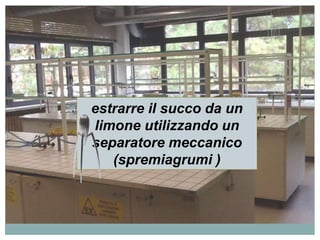 estrarre il succo da un 
limone utilizzando un 
separatore meccanico 
(spremiagrumi ) 
 