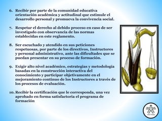6. Recibir por parte de la comunidad educativa
orientación académica y actitudinal que estimule el
desarrollo personal y promueva la convivencia social.
7. Respetar el derecho al debido proceso en caso de ser
investigado con observancia de las normas
establecidas en este reglamento.
8. Ser escuchado y atendido en sus peticiones
respetuosas, por parte de los directivos, Instructores
y personal administrativo, ante las dificultades que se
puedan presentar en su proceso de formación.
9. Exigir alto nivel académico, estrategias y metodología
basadas en la construcción interactiva del
conocimiento y participar objetivamente en el
mejoramiento continuo de los Instructores a través de
los procesos de evaluación.
10. Recibir la certificación que le corresponda, una vez
aprobado en forma satisfactoria el programa de
formación
 