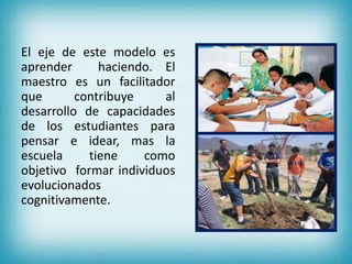 El eje de este modelo es 
aprender haciendo. El 
maestro es un facilitador 
que contribuye al 
desarrollo de capacidades 
de los estudiantes para 
pensar e idear, mas la 
escuela tiene como 
objetivo formar individuos 
evolucionados 
cognitivamente. 
 