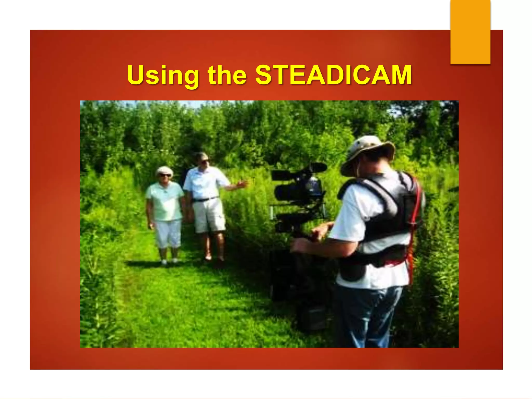 Using the STEADICAM 
 