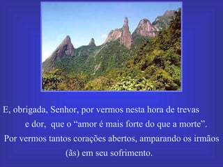 E, obrigada, Senhor, por vermos nesta hora de trevas  e dor,  que o “amor é mais forte do que a morte”.  Por vermos tantos corações abertos, amparando os irmãos (ãs) em seu sofrimento.  