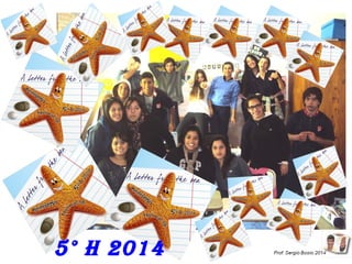 5° H 2014