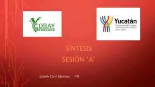 SÍNTESIS 
SESIÓN “A” 
Lizbeth Cano Sánchez 1°N 
 