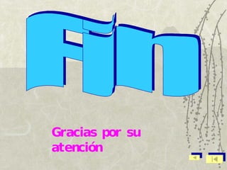 Fin Gracias por su atención 