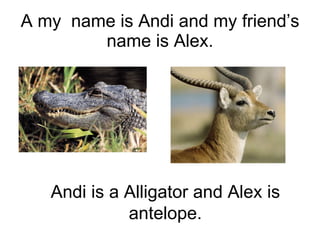 A my  name is Andi and my friend’s name is Alex. Andi is a Alligator and Alex is antelope. 