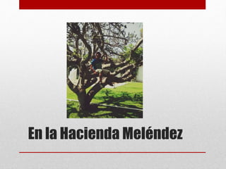En la Hacienda Meléndez 
 