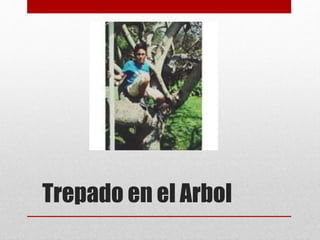 Trepado en el Arbol 
 