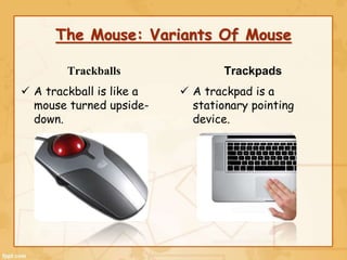 The Mouse Computer Fundamentals Ppt