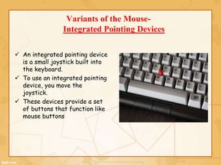 The Mouse Computer Fundamentals Ppt