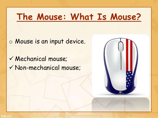 The Mouse (Computer Fundamentals)
