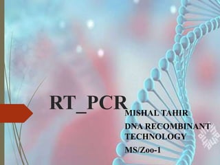 RT_PCRMISHAL TAHIR
DNA RECOMBINANT
TECHNOLOGY
MS/Zoo-1
 