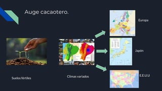 Auge cacaotero.
Suelos fértiles
Climas variados
Europa
Japón
E.E.U.U
 