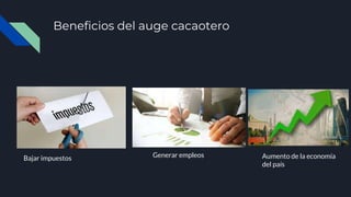 Beneficios del auge cacaotero
Bajar impuestos Generar empleos Aumento de la economía
del país
 