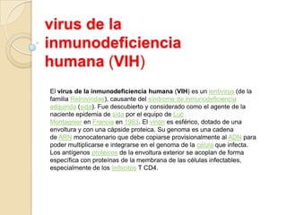 virus de la
inmunodeficiencia
humana (VIH)
El virus de la inmunodeficiencia humana (VIH) es un lentivirus (de la
familia Retroviridae), causante del síndrome de inmunodeficiencia
adquirida (sida). Fue descubierto y considerado como el agente de la
naciente epidemia de sida por el equipo de Luc
Montagnier en Francia en 1983. El virión es esférico, dotado de una
envoltura y con una cápside proteica. Su genoma es una cadena
de ARN monocatenario que debe copiarse provisionalmente al ADN para
poder multiplicarse e integrarse en el genoma de la célula que infecta.
Los antígenos proteicos de la envoltura exterior se acoplan de forma
específica con proteínas de la membrana de las células infectables,
especialmente de los linfocitos T CD4.
 