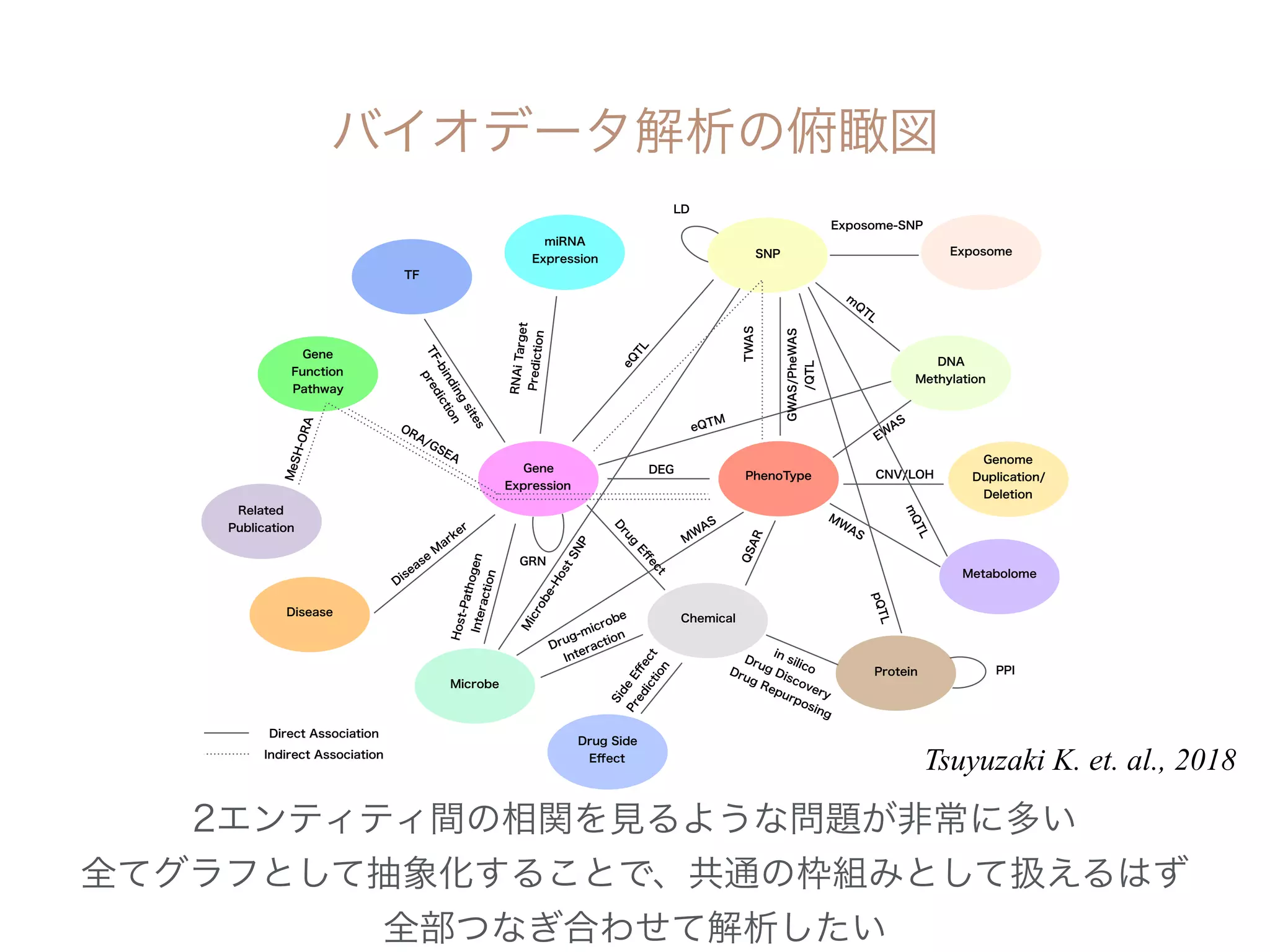  
 
Tsuyuzaki K. et. al., 2018
 