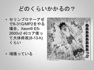 どのくらいかかるの？
• セリンプロテーアゼ
で6-31G/MP2をやる
場合、Xeon® E5-
2600v2 40コア使っ
て大体終夜(8-13-h)
くらい
• 頑張っている
 