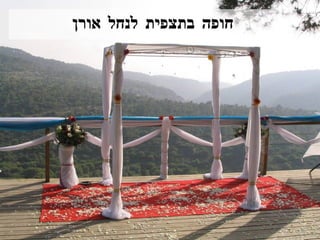 חופה בתצפית לנחל אורן 