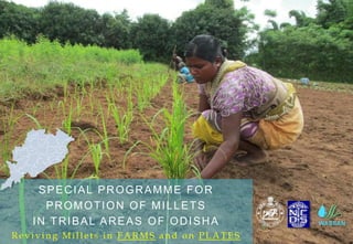 SPECIAL PROGRAMME FOR
PROMOTION OF MILLETS
IN TRIBAL AREAS OF ODISHA
R evi vi ng Mi l l ets i n FAR MS a nd on PLATES
 