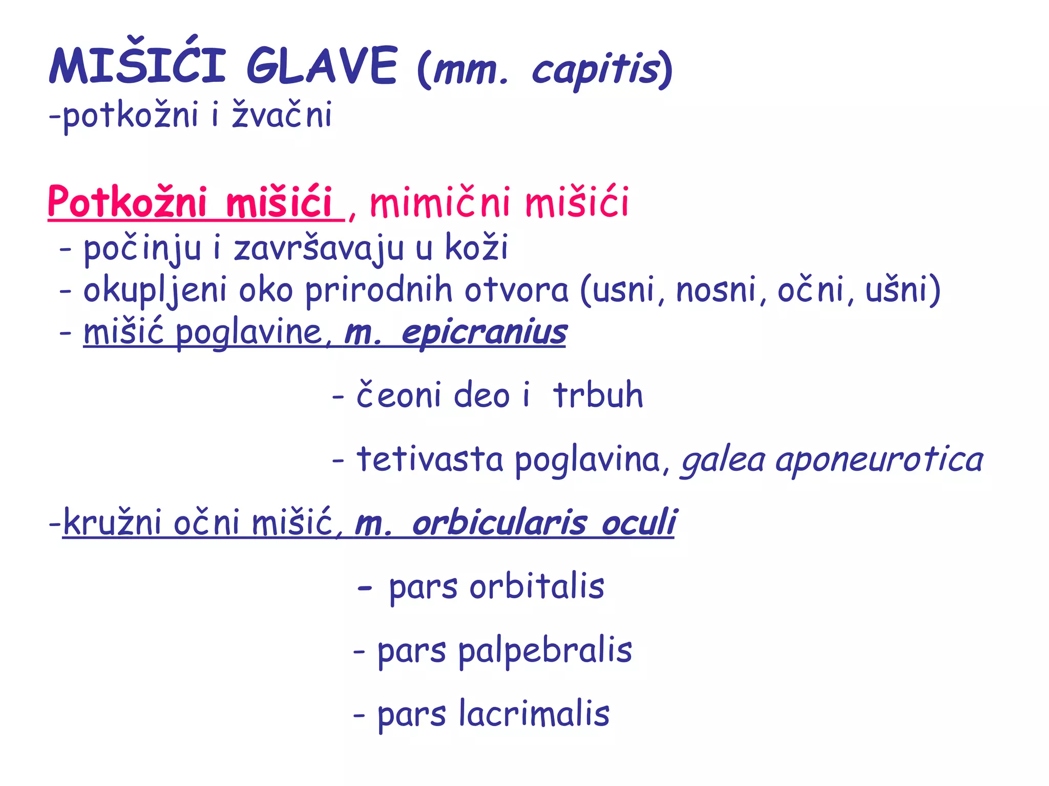 Misici glave, vrata i trupa | PPT