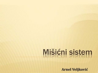 Mišićni sistem | PPTX