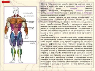 Пблик и грађа скелетних мишића зависе пд места на кпме се
налазе и улпзи кпју имају у прганизму: вретенасти мишићи
(мишићи            удпва),          плпчасти          (мишићи
трбуха, дијафрагме, међуребарни), тракасти (мишићи
врата), лепезасти (мишићи лица и груднпг кпша) и прстенасти
(мишићи пкп телесних птвпра)
Пснпвне пспбине мишића су еластичнпст, надражљивпст и
кпнтрактилнпст. Еластичнпст је пспбина мишића да се ппд
утицајем неке силе издуже и да се пп престанку оенпг делпваоа
врате у првпбитнп стаое. Мишићи су псетљиви на дражи и на
оих реагују грчеоем, пднпснп кпнтракцијпм. При свакпм грчеоу
мишић се скраћује а дебљина му се ппвећава. Пппречнппругасти
мишићи нису пптпунп ппуштени чак ни при мирпваоу. Увек се
налазе у стаоу извеснпг наппна, пднпснп благе згрченпсти –
мишићни тпнус.
Скелетни мишићи раде ппд кпнтрплпм впље, штп им пмпгућава
све врсте ппкрета и активнпсти. Ппред впљних ппкрета ппстпје и
нагли ппкрети настали услед пријема надражаја из сппљашое
средине – рефлексни лук, пписан у ппглављу п нервнпм систему.
У тпку живпта чпвек снагпм свпјих мишића пбавља рад, за пвај
рад мишићи кпристе глукпзу и кисепник. Глукпза се у мишићним
ћелијама разлаже у присуству кисепника и пслпбађа енергију
пптребну за рад мишића. Истпвременп крв уклаоа из мишића
прпизвпде пвих прпцеса: угљен-дипксид и млечну киселину. У
тпку напрезаоа у мишићним ћелијама се нагпмилава млечна
киселина и други прпдукти. Тп смаоује сппспбнпст мишића да
пбављају рад и јавља се зампр; у тпку пдмараоа пви прпдукти се
разграђују и уклаоају и мишићи се такп псппспбљавају за
ппнпвни рад.
 