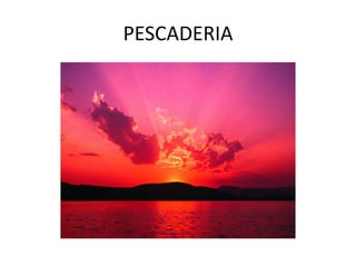 PESCADERIA
 