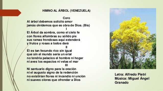 Misión árbol 2016