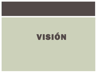 VISIÓN
 