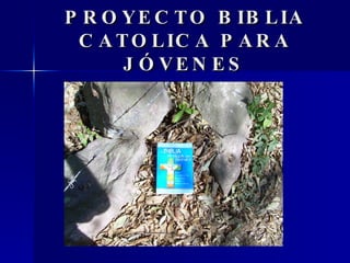 PROYECTO BIBLIA CATOLICA PARA J ÓVENES 
