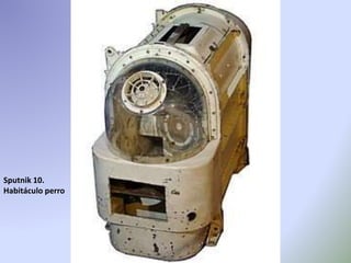 Sputnik 10.
Habitáculo perro
 