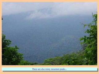 There are also misty mountain peaks...There are also misty mountain peaks...
 