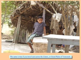 The same is true if you travel east across the Llanos, or Great Plains of Venezuela.The same is true if you travel east across the Llanos, or Great Plains of Venezuela.
 