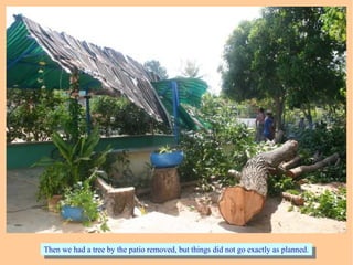 Then we had a tree by the patio removed, but things did not go exactly as planned.Then we had a tree by the patio removed, but things did not go exactly as planned.
 