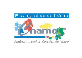 Fundación Chamos.