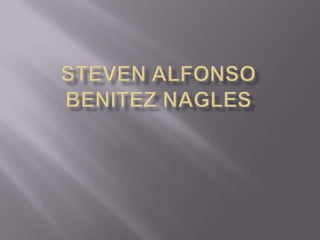 STEVEN ALFONSO BENITEZ NAGLES 